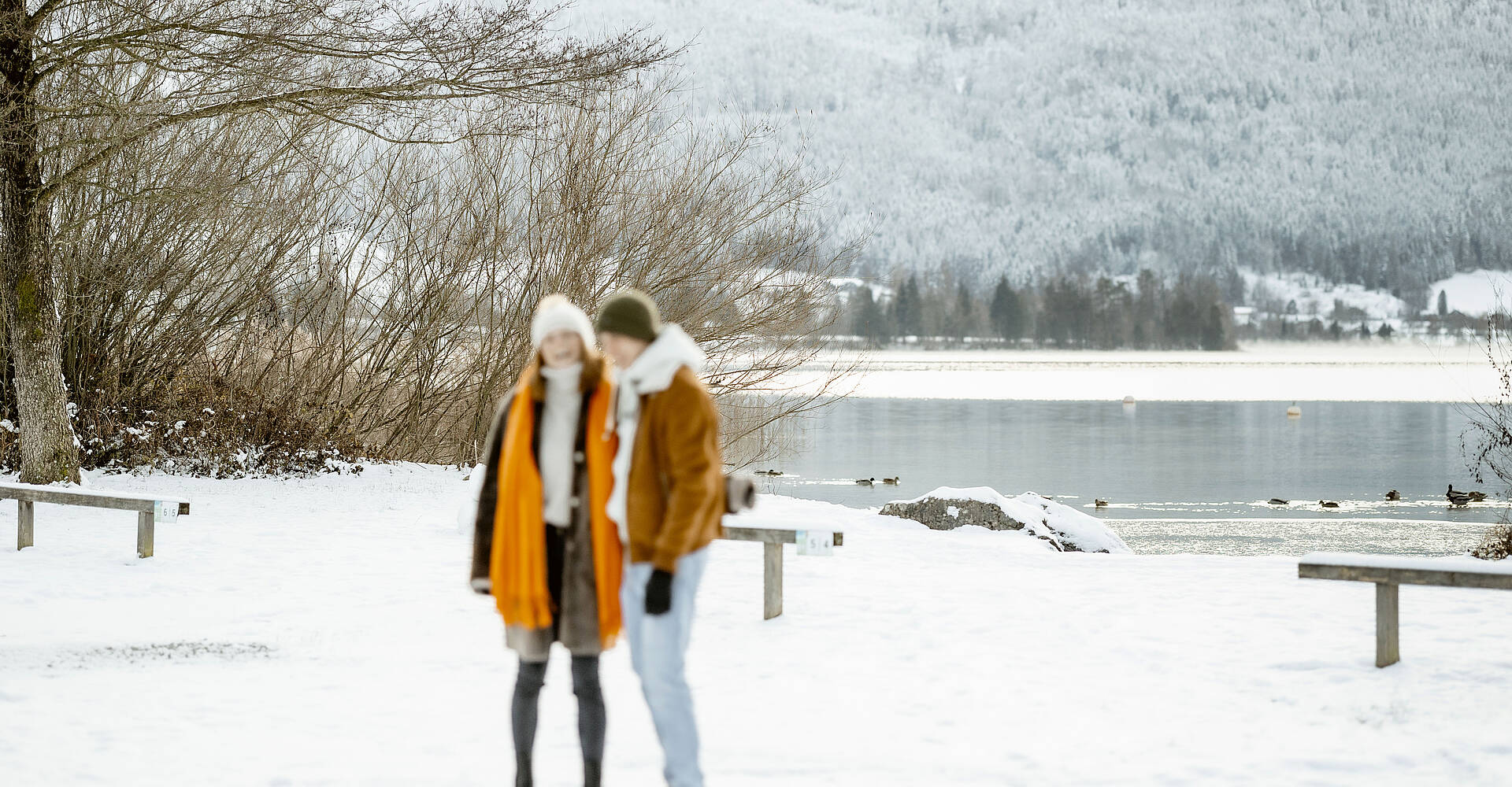 Winter in der Berau am Wolfgangsee