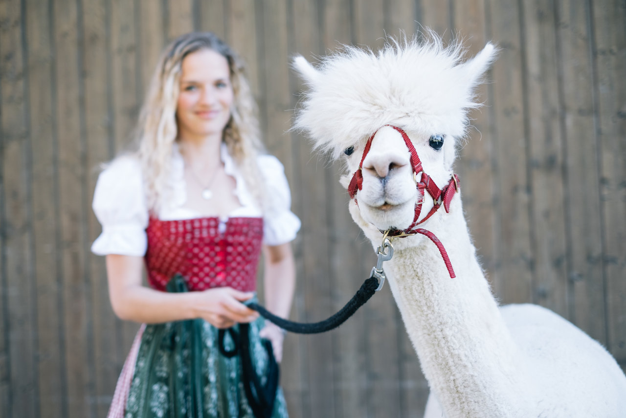 das franzl designhotel berau am wolfgangsee