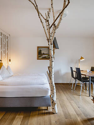 Apartment im das Franzl